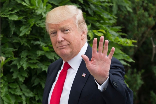 Donald Trump ma - według ustaleń Reutera - przyjechać na początku lipca do Polski /MICHAEL REYNOLDS    /PAP/EPA