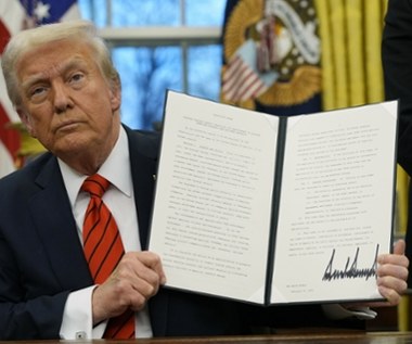 Donald Trump nałożył cła na dwa surowce. Dotkną także Unię Europejską