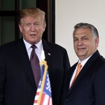 Donald Trump poparł Viktora Orbana przed wyborami na Węgrzech