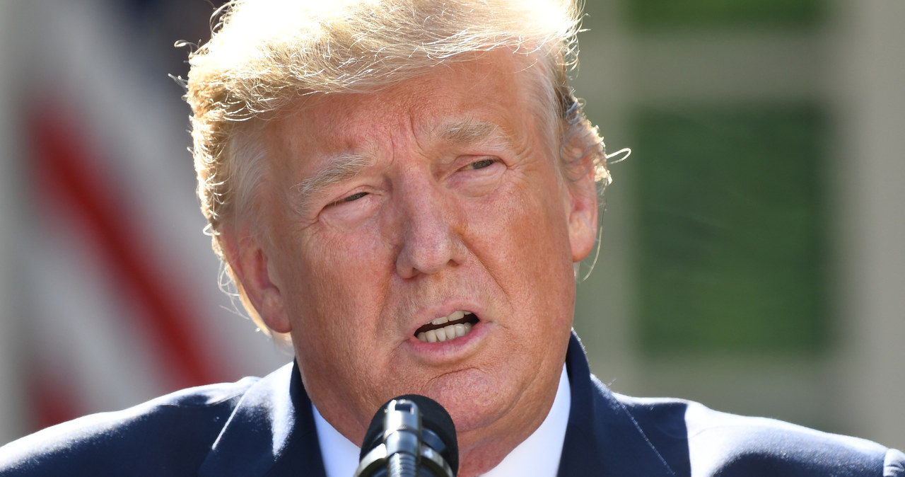 Donald Trump potwierdza wejście w życie ceł /AFP