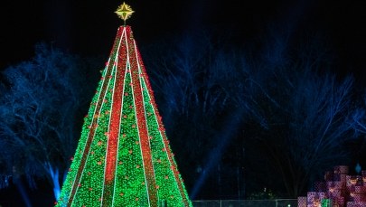 Donald Trump zapalił lampki na choince przed Białym Domem