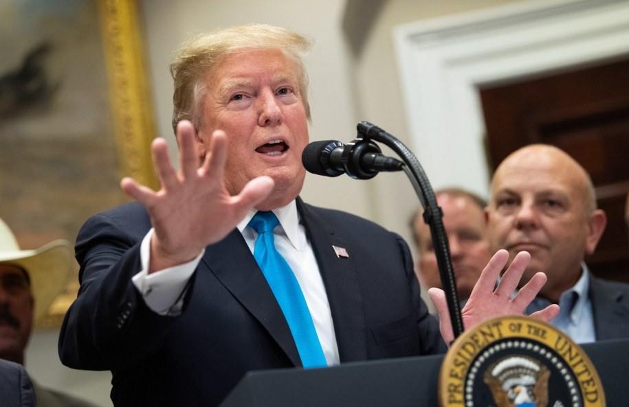 Donald Trump zdecydował o ujawnieniu akt ws. Russiangate /KEVIN DIETSCH / POOL /PAP