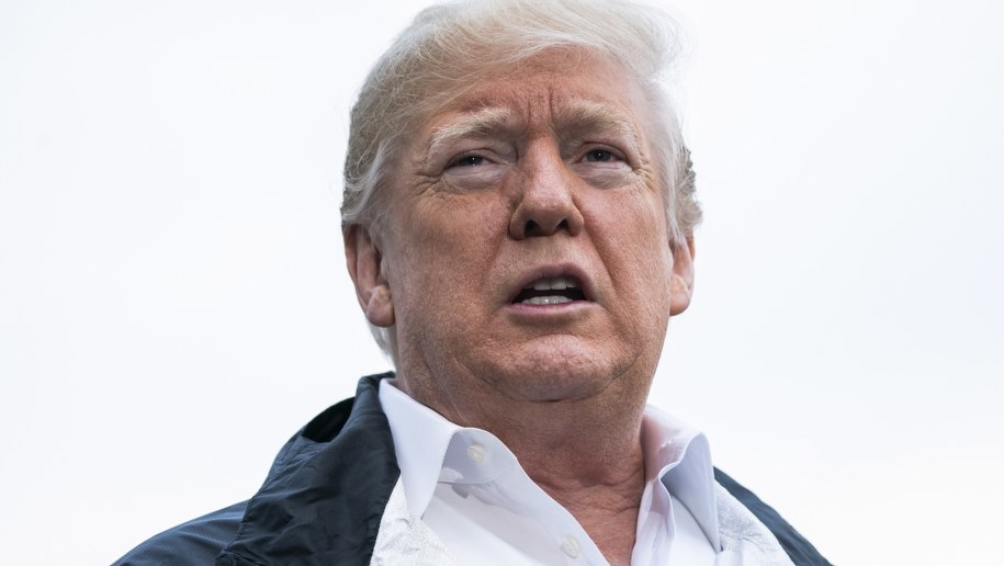 Donald Trump /JIM LO SCALZO /PAP/EPA