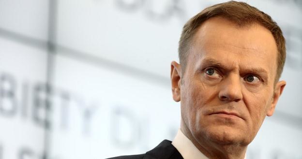 Donald Tusk /fot. Andrzej Iwańczuk /Reporter