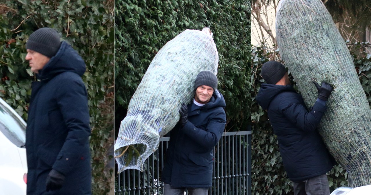 Donald Tusk kupił chonikę na święta /pomponik exclusive