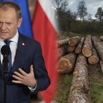 Donald Tusk o zmianach w Lasach Państwowych. Nowy dyrektor i "okrągły stół"