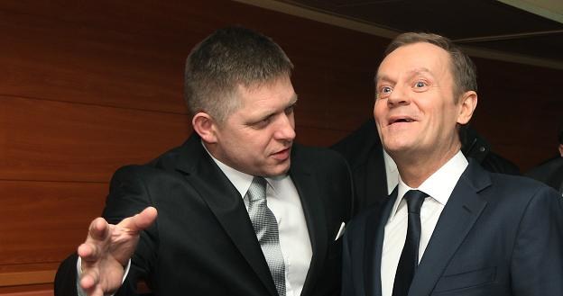 Donald Tusk (P) i premier Słowacji Robert Fico (L) /PAP