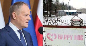 Donald Tusk: Schronisko w Sobolewie zostało zamknięte 