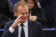 Donald Tusk wkrótce wróci na fotel szefa PO? Tomasz Siemoniak dementuje