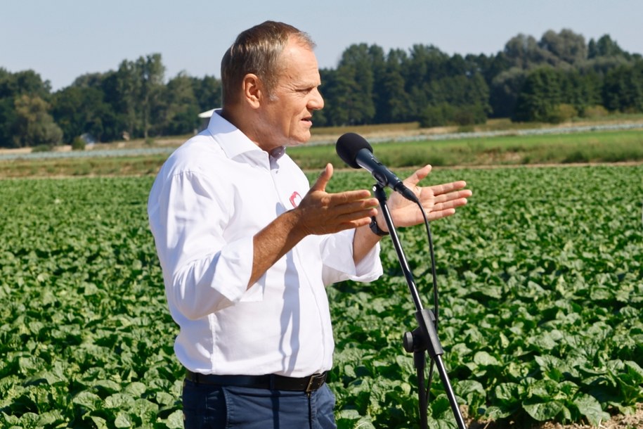 Donald Tusk /	Tomasz Wojtasik /PAP