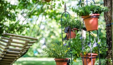 Doniczka i oświetlenie w jednym. To będzie ogrodniczy hit wiosny