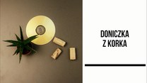 Doniczka z korka i płyty CD
