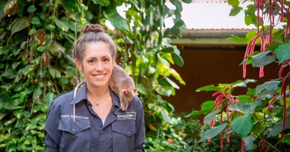 Donna Kean prowadzi trening ze szczurami-ratownikami. Uważa je za zwierzęta inteligentne i bardzo towarzyskie. / foto: APOPO /domena publiczna