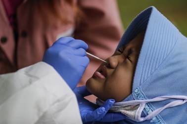 ​Donosowa szczepionka szansą na przełom w walce z COVID-19? Testy na zwierzętach są obiecujące