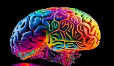 Dopamina to nie tylko hormon przyjemności. Ostatnie odkrycia ujawniły jej rolę