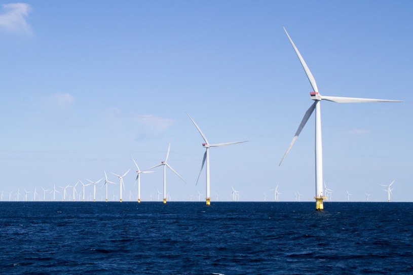 „Dopłacamy do brudnej energii, czas na zieloną” /Żródło: PSEW /