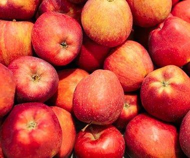 Dopłaty do nawozów i skupu jabłek formą pomocy dla rolników