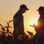 Dopłaty do ubezpieczeń upraw jesiennych. MRiRW robi wszystko, żeby nie trzeba było ich zwracać