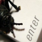 Dorkbot - niebezpieczny robak atakuje w internecie