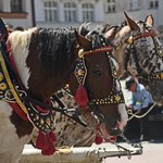 Dorożki konne znikną z rynku w Krakowie. Niestety nie na długo