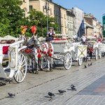 Dorożki nie wyjadą na Rynek Główny w Krakowie