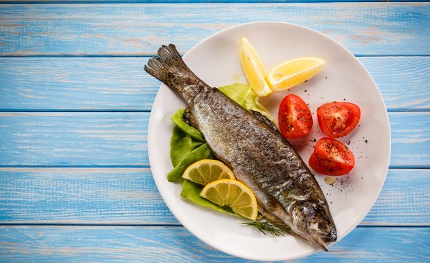 Dorsz bałtycki jest coraz mniejszy. Naukowcy alarmują