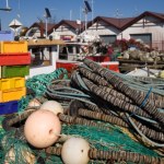 Dorsz nadal pod ochroną, szprot i śledź wracają do łask. Co to oznacza dla Polski?