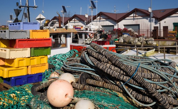 Dorsz nadal pod ochroną, szprot i śledź wracają do łask. Co to oznacza dla Polski?