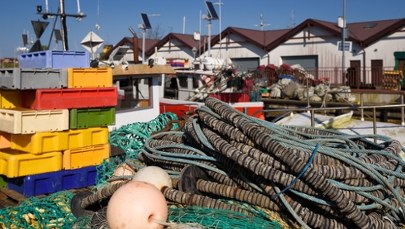 Dorsz nadal pod ochroną, szprot i śledź wracają do łask. Co to oznacza dla Polski?