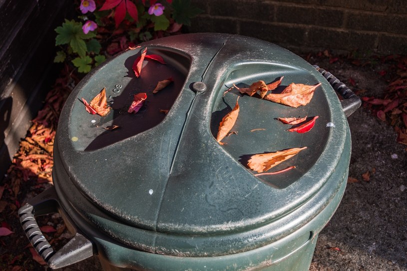 Dorzuć do kompostu. "Czarne złoto" sprawi, że rośliny będą rosły jak szalone