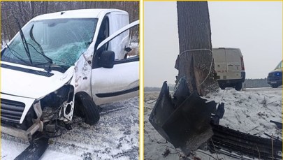 Dostawczak uderzył w drzewo. Nie uwierzysz, gdzie siedział pasażer