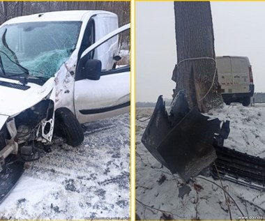 Dostawczak uderzył w drzewo. Nie uwierzysz, gdzie siedział pasażer