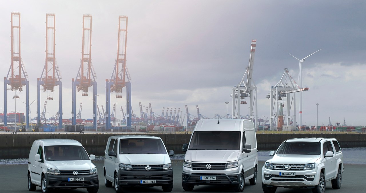 Dostawczaki Volkswagena świetnie sprzedają się w Polsce /Informacja prasowa