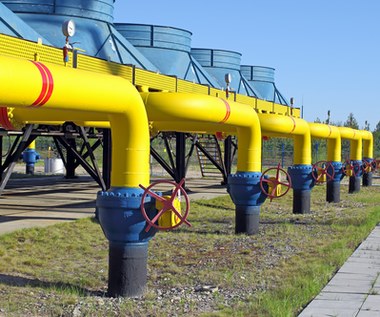 Dostawy gazu. Rząd Holandii szykuje się na "ekstremalne scenariusze"