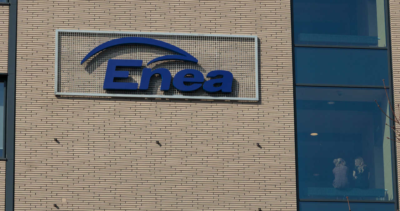 Doszło do zmian w zarządzie spółki Enea /123RF/PICSEL