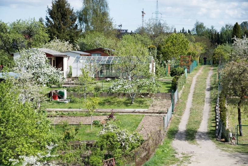 Dotacje dla działkowców z budżetów lokalnych. Kto i ile pieniędzy dostanie?