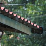 Dotacje na zbieranie deszczówki. Tyle tysięcy złotych będzie można dostać