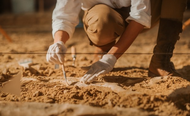 Dotąd nie wiedziano o ich istnieniu. Niezwykłe odkrycie w sercu Portugalii