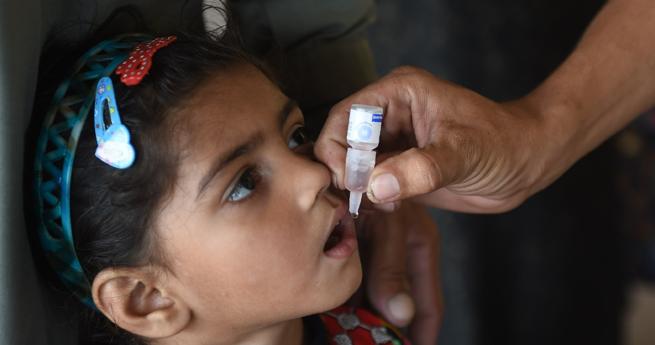 Doustne szczepionki przeciwko polio pozwolą całkowicie wyeliminować wirusa /AFP