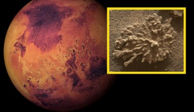 Dowód istnienia wody na Marsie. Curiosity znalazł kamienny koralowiec