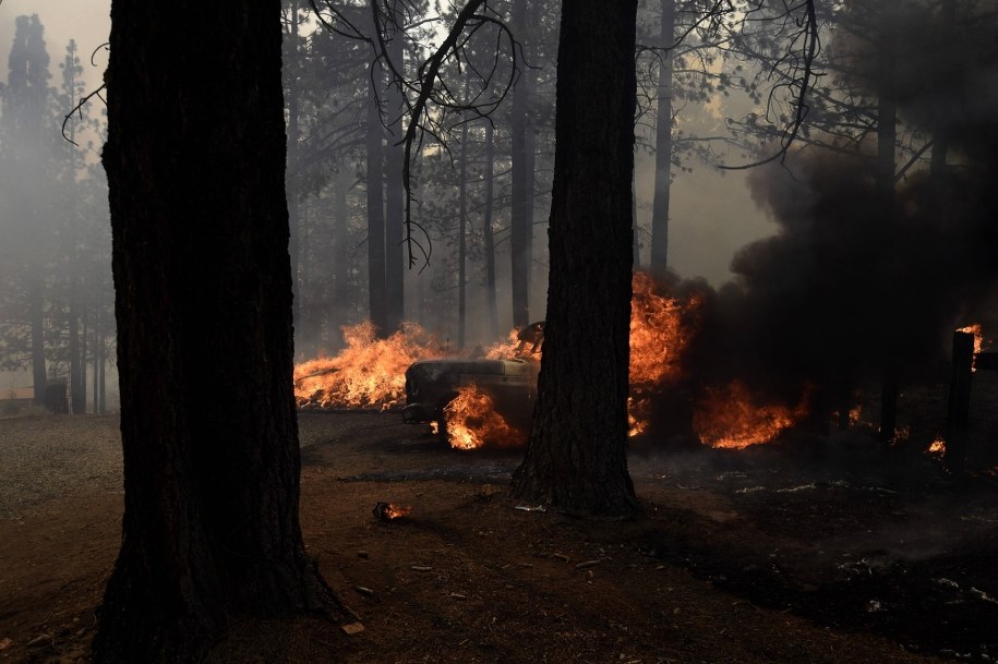 Doyle w Kalifornii, zdjęcie z 12 lipca /Neal Waters / Anadolu Agency /PAP/Abaca