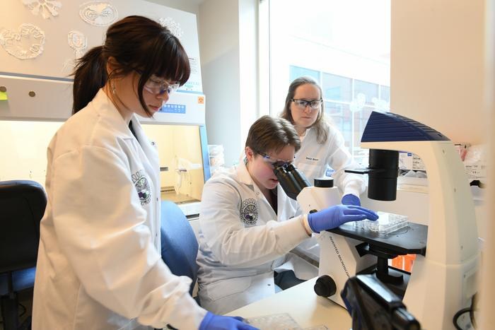 Dr Emily Bruce z Larner College of Medicine (po prawej),przy pracy ze współautorkami publikacji, Allyson Turner i Sarą Jaffrani na UVM. /Fot. David Seaver/Larner College of Medicine at The University of Vermont /Materiały prasowe