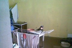 Dramat mieszkanki Bijasowic - pani Małgorzata straciła w powodzi wszystko