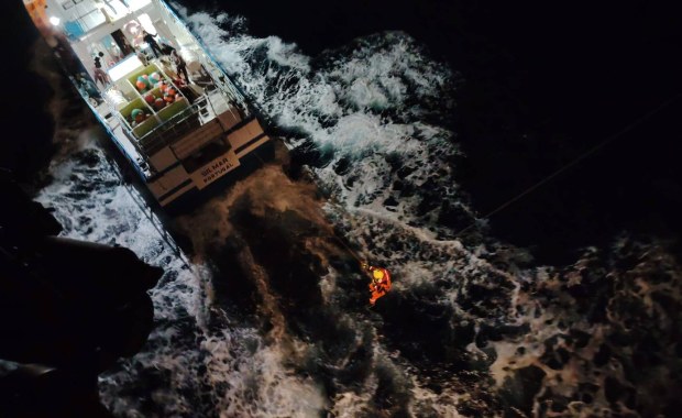 Dramat na Atlantyku: Orki zaatakowały jacht z dziećmi na pokładzie