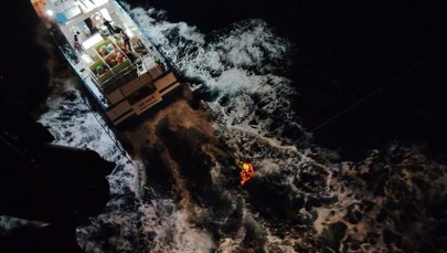 Dramat na Atlantyku: Orki zaatakowały jacht z dziećmi na pokładzie