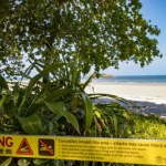 Dramat na rajskiej plaży: 14-latek zaatakowany przez krokodyla podczas wędkowania