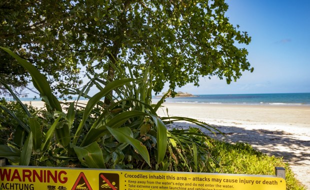 Dramat na rajskiej plaży: 14-latek zaatakowany przez krokodyla podczas wędkowania