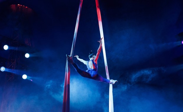 Dramat w cyrku. Na wszystko patrzyli widzowie