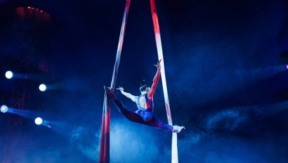 Dramat w cyrku. Na wszystko patrzyli widzowie