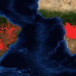 Dramatyczna sytuacja na południu Afryki. Pożary sieją spustoszenie